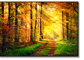 Motivation vs. Inspiration